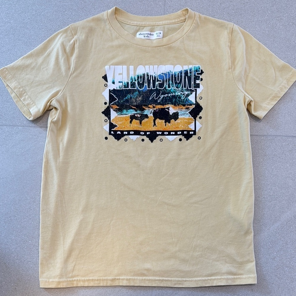 Abercrombie Kids Yellowstone Graphic T-Shirt!
